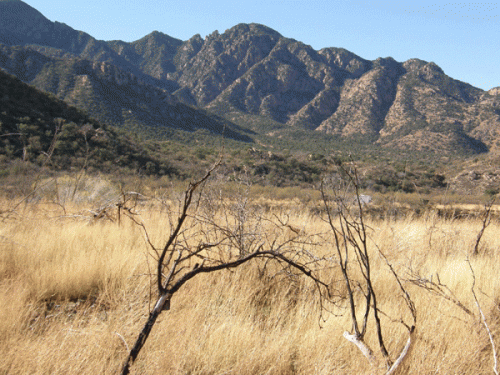 Road Biking Madera Canyon - Cyclists Love Climbing This Tucson Gem Tucson Bike Rentals|Bicycle Rentals Oro Valley Arizona